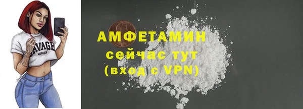 винт Абаза