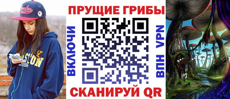 Псилоцибиновые грибы Psilocybine cubensis Архангельск